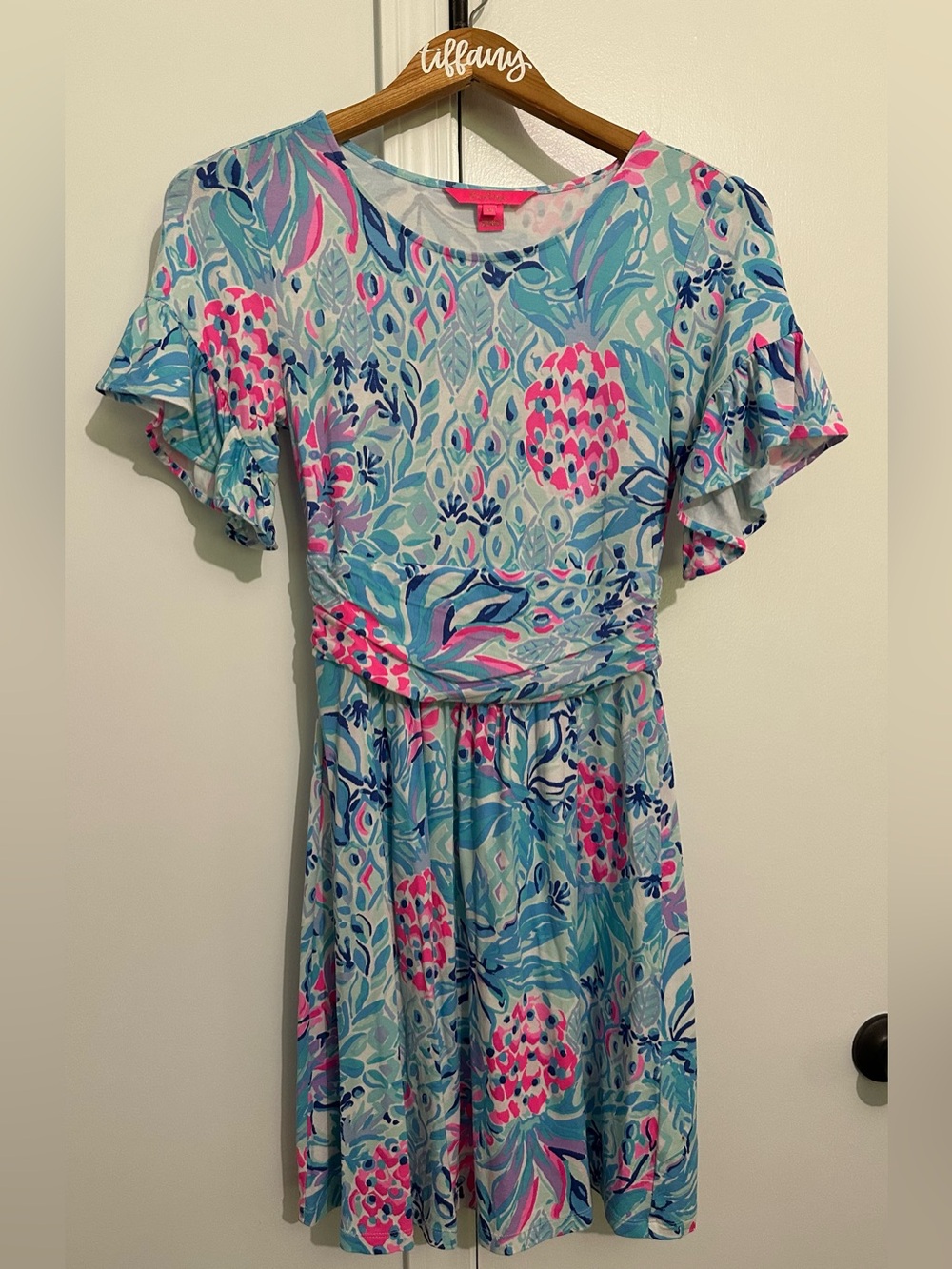 Lilly Pulitzer Riegan dress
